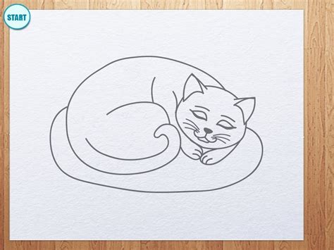 How to draw a sleeping cat. How to draw an easy sleeping Cat | Cat drawing, Art ...