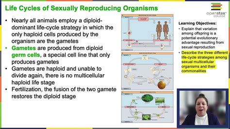 Openstax Concepts Of Biology Chapter 71 Youtube
