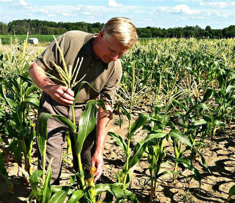 Drought Begins to Worry Mid-Michigan Corn Growers | WKAR