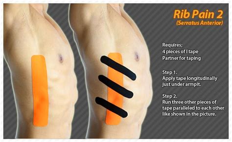Rib Cage Muscles Spasm What Causes A Pulsating Feeling Under The Left