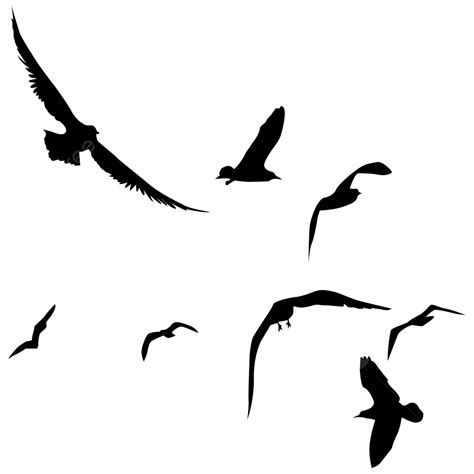 Gambar Siluet Burung Burung Bayangan Hitam Siluet Burung Png Dan