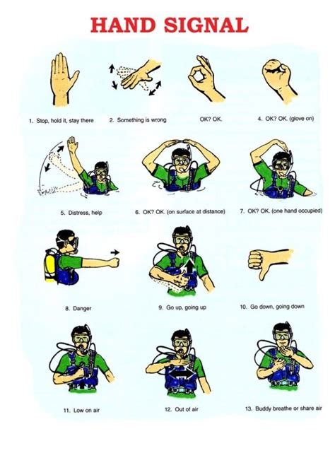 Scuba Diver Hand Signals Your Complete Guide