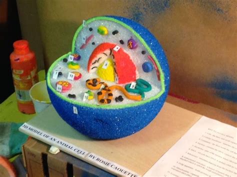 We did not find results for: 3d plant cell model styrofoam ball - Google Search ...