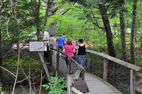 Squam Lakes Science Center Receives Champions In Action Award Animals