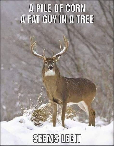 Pin By Fluff Memes On Fluffy Hunting Quotes Funny Funny Hunting Pics