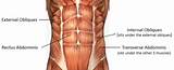 Photos of Core Muscles Layers