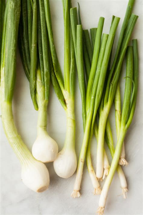 How To Cook Scallion Vegetables Herbs And Food Recipes