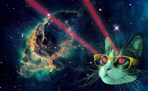 Laser Cat In Space Space Cat Cat Laser Cool Cats