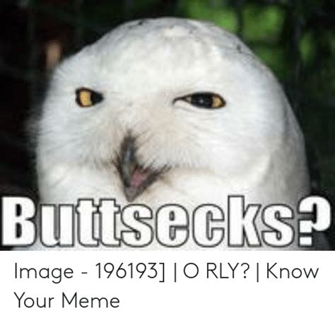 Buttsecks Image 196193 O Rly Know Your Meme Meme On Meme