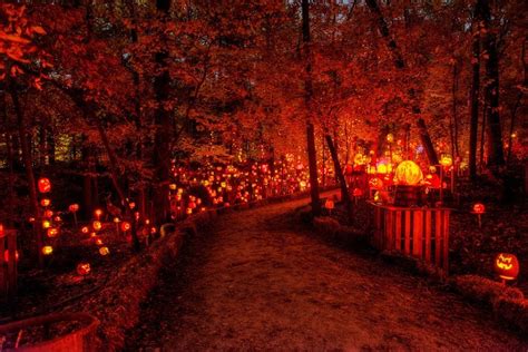 Visit This Kentucky Park For A Spectacular Light Show This October
