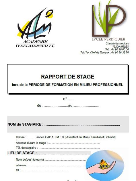 Exemple De Rapport De Stage Terminal Bac Pro Mei Financial Report Riset