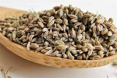 Ajwain Manufacturerajwain Supplier And Exporter From Surat India