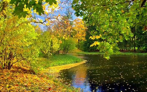 Season Fall Tree River Backgrounds Landscape Color Seasons Leaves