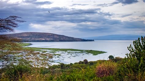 Lago Naivasha Kenya Vacanze