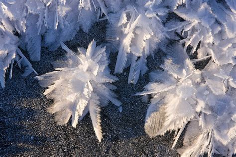 Macro View Of Ice Crystals Hoar Frost License Image 70451078