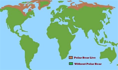 5 Nations Where Polar Bears Lives Habitat Of Polar Bears