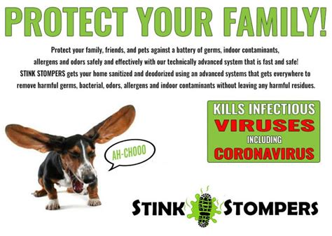 Stink Stompers San Jose Silicon Valley Odor Removal We Remove Odors