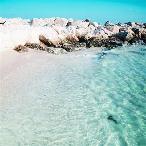 Orange Beach In Alabama Is A Hidden Treasure Trove Of Sea Shells