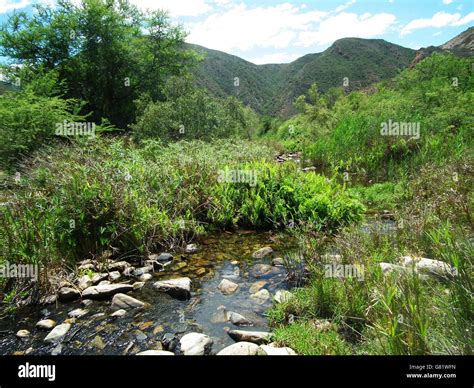 Baviaanskloof Nature Reserve Hi Res Stock Photography And Images Alamy