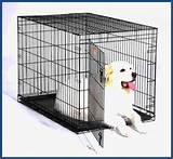 Tractor Supply Pet Crate