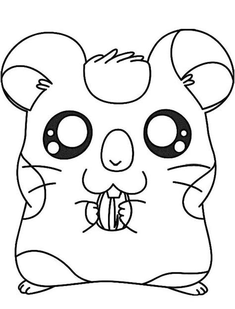Cute Hamster Free Printable Coloring Pages Animal Coloring Pages