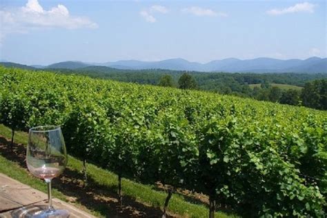Top 9 Wine Tours In Georgia The Usa Updated 2021 Trip101