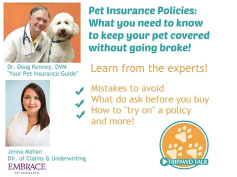 Choosing the Best Pet Insurance for Tripawds: Tripawd Talk ...