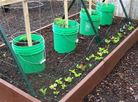 40 Simple But Beautiful Bucket Gardening Ideas Carenthusias Огород