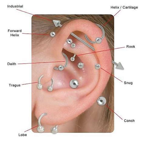 Bildergebnis F R Ear Piercing Tragus Ohrringe Tragus Ohrschmuck