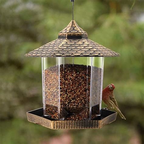 10 Best Bird Feeders For Blue Jays And Cardinals 2024 Reviews