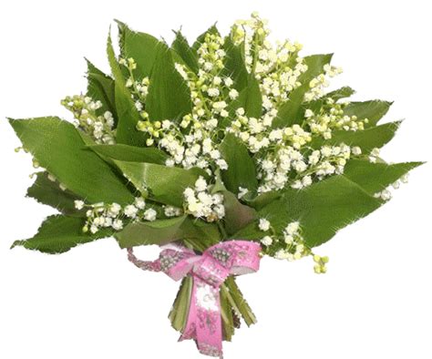 Joli bouquet de muguet du 1er mai, composé de brins de muguet en fleurs couronné de feuilles de muguet. Bon 1er mai : Muguet porte-bonheur scintillant