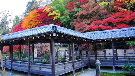 南禅寺 方丈庭園 紅葉 上品な秋色と豪快な彩り 京都もよう Kyoto Moyou