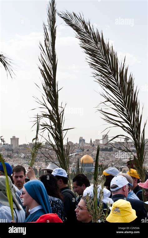 Waving Palm Branches Christians Commemorate Jesus Journey From The