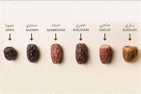 Types Of Dates Tacitceiyrs
