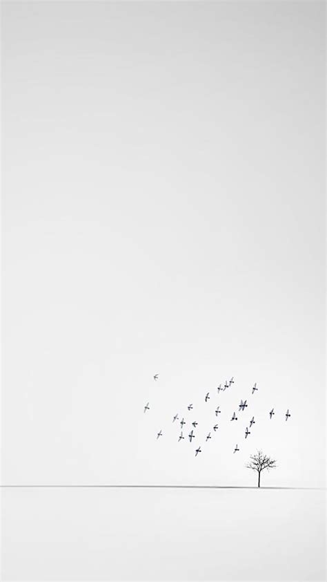 Iphone Minimalistic White Wallpaper With Images
