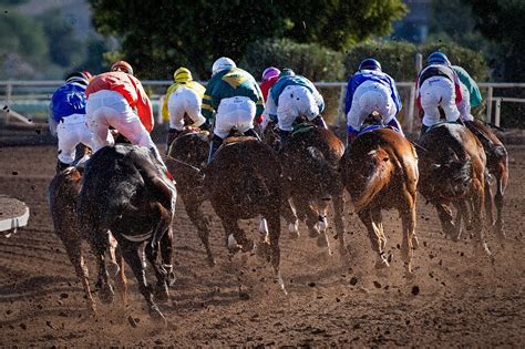 What Are The Different Types Of Horse Racing