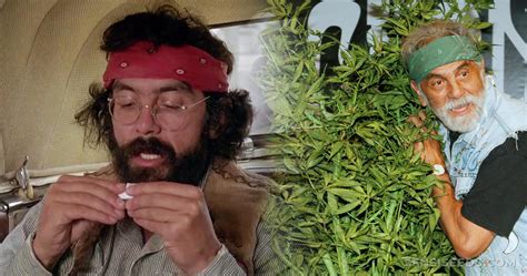 Tommy Chong And Cannabis Profile Interview And Videos Sensi Seeds