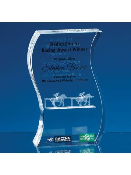 6cm X 75cm Optical Crystal Stand Up Circle Award Jackson Trophies