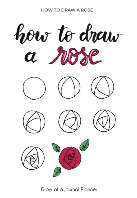 As with our other drawing tutorials. How to draw a rose step by step for beginners - The Smart ...