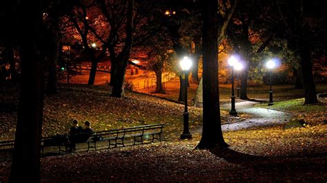 Park At Night The City Landscape Photography Wallpaper Preview