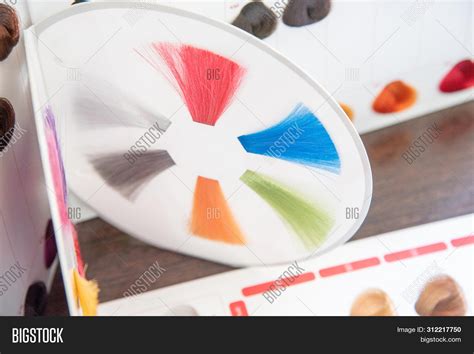 Hair Color Chart Image And Photo Free Trial Bigstock