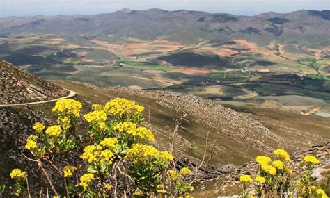 Langkloof Receives Its Best Rain In Two Years Zest Fruit
