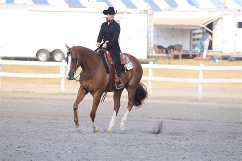 Aqha Balance At The Canter Horse Love Canter Horse Training