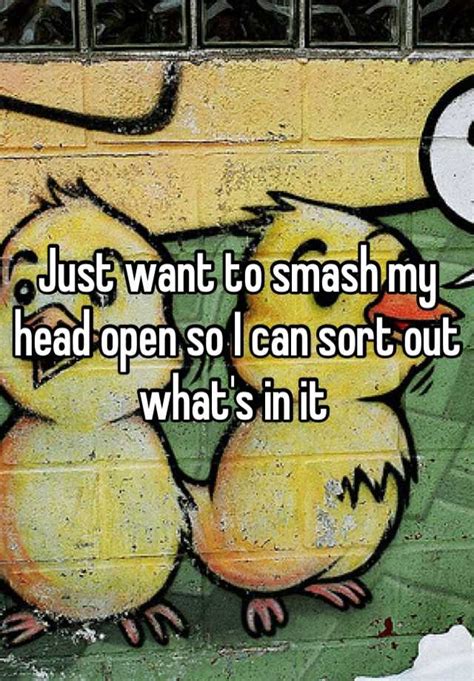 Just Want To Smash My Head Open So I Can Sort Out Whats In It