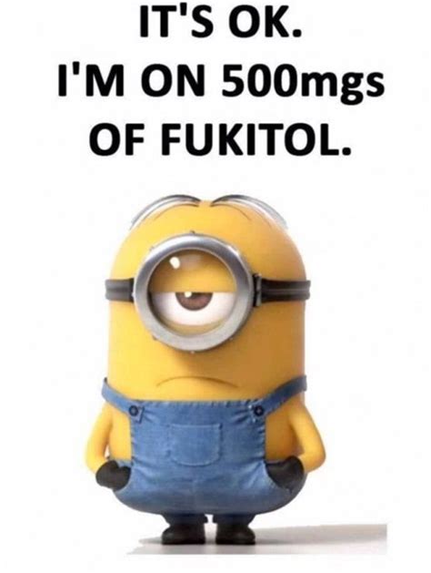 Minions Quotes Top 370 Funny Quotes With Pictures Sayings 24