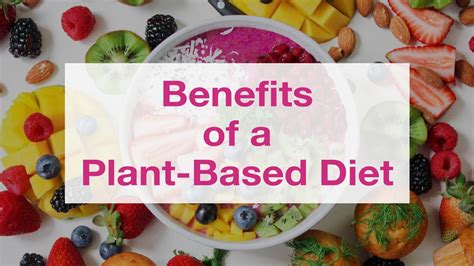 9 Plant Based Diet Benefits You Need To Know