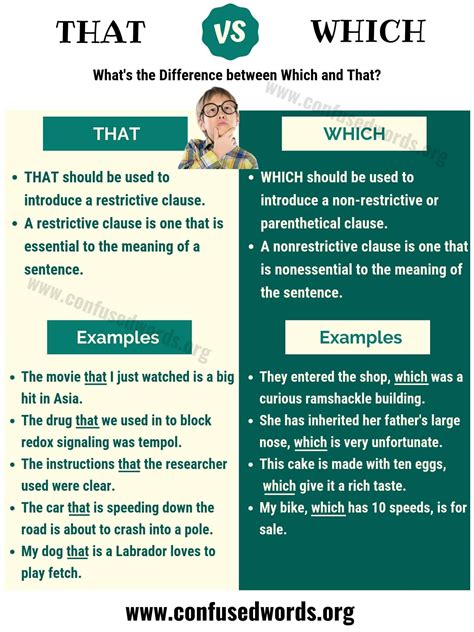 THAT vs WHICH: Difference between Which vs That (with Useful Examples ...