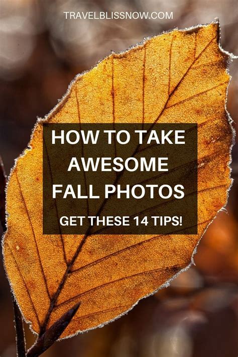 14 Fall Photography Tips For Awesome Autumn Images Autumn Photography