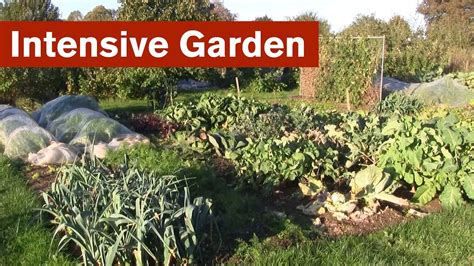 Intensive Garden Introduction Youtube