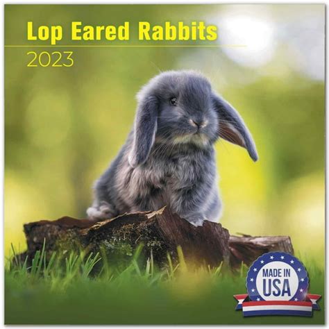 2022 2023 Lop Eared Rabbit Calendar Cute Animal Monthly Wall Calendar